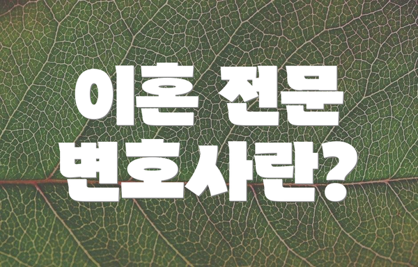 이혼 전문 변호사란?