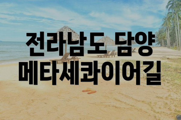전라남도 담양 메타세콰이어길