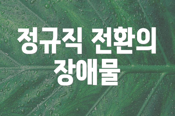 정규직 전환의 장애물