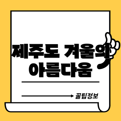 제주도 겨울의 아름다움