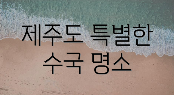 제주도 특별한 수국 명소