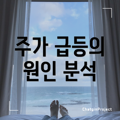 주가 급등의 원인 분석