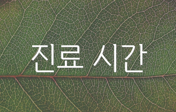 진료 시간