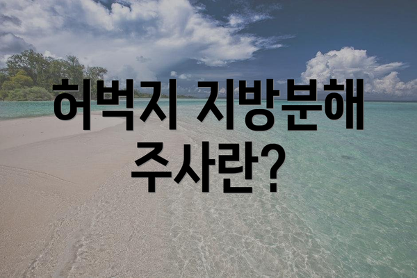 허벅지 지방분해 주사란?