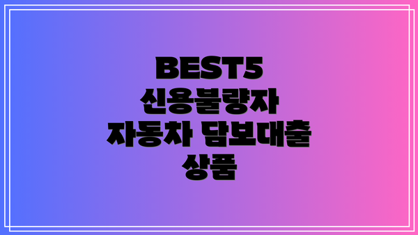 BEST5 신용불량자 자동차 담보대출 상품