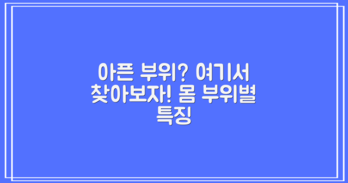 뇌/허리/무릎/어깨/척추: 부위별 특징